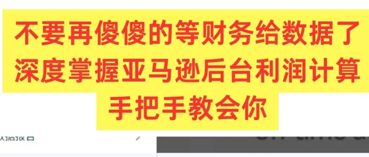 双重核算！！自己做亚马逊利润对账不求人