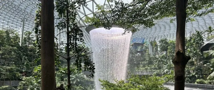 12月31日沙龙会报名通知