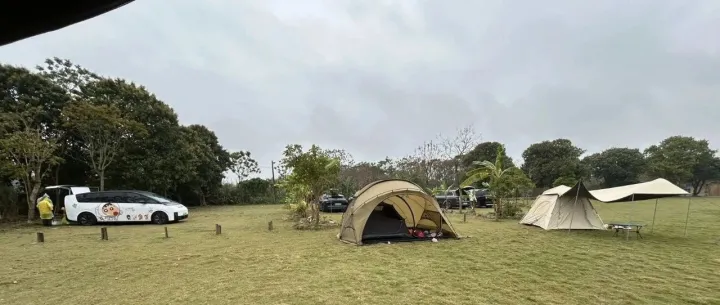 Daniel：如何获得AIO搜索结果详细教程