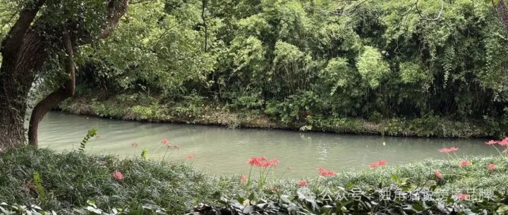 为什么品牌出海大部分人都在亏钱？