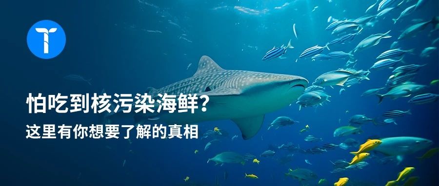 揭秘!日本的海产都卖去了哪里?一张图让你迅速搞懂- 大数跨境
