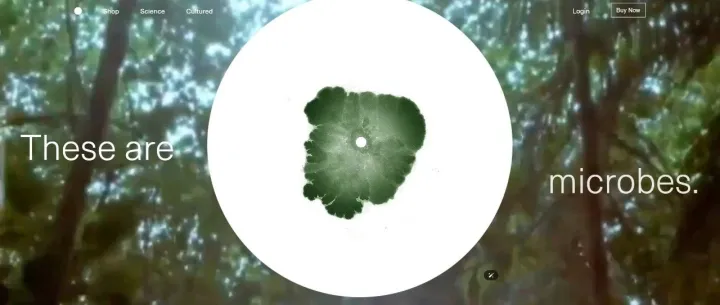 估值破10亿美元！揭秘美国最神秘的益生菌保健品公司！