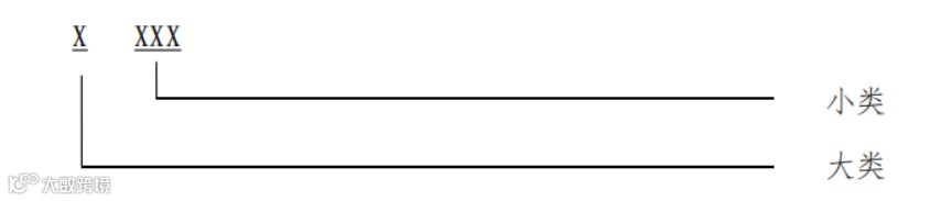 外汇账户编码结构示意图