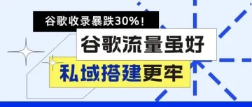 谷歌收录暴跌30%！独立站卖家如何重建流量“护城河”？