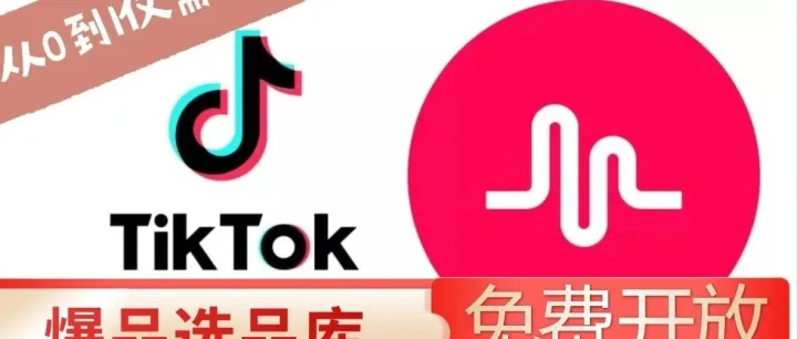 小白做跨境电商，选哪家平台最合适？新手必看攻略！