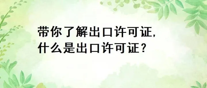 带你了解出口许可证,什么是出口许可证？
