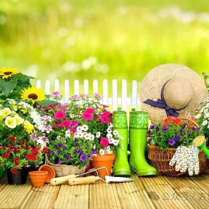 长周期旺季来临，园艺工具迎春走俏！