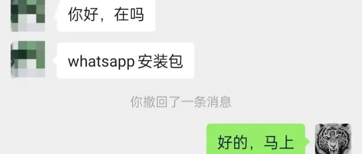 一文完整分析WhatsApp、领英Linkedin、TikTok、苹果ID接收不到验证码，不能注册等全部问题！附赠安装包！