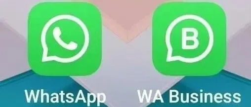 全文深度解析WhatsApp从注册到养号规则，以及解决收不到验证码问题！！！