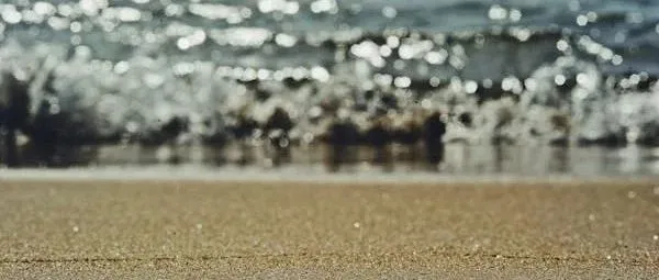 各位外贸人，小心印度！