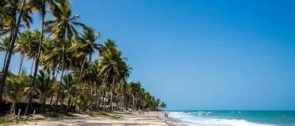 重磅！关税谈判新消息