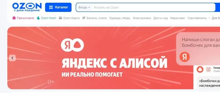 OZON 平台运营实用指南