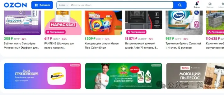 Ozon选品攻略（内附避坑指南）