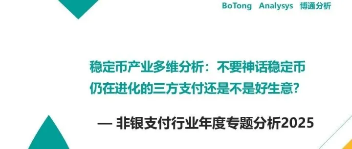 非银行支付机构年度专题分析2025-稳定币市场