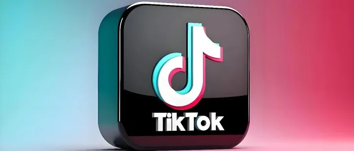 跨境工厂转型必看！「TikTok+独立站」玩法抢占红利