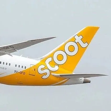 新加坡酷航要交2.26%手续费！怎么交才省钱？