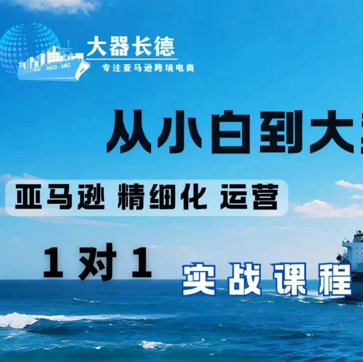 终身迭代的亚马逊全阶课-合规、落地、有效