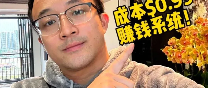 0.99美金赚米系统搭建！