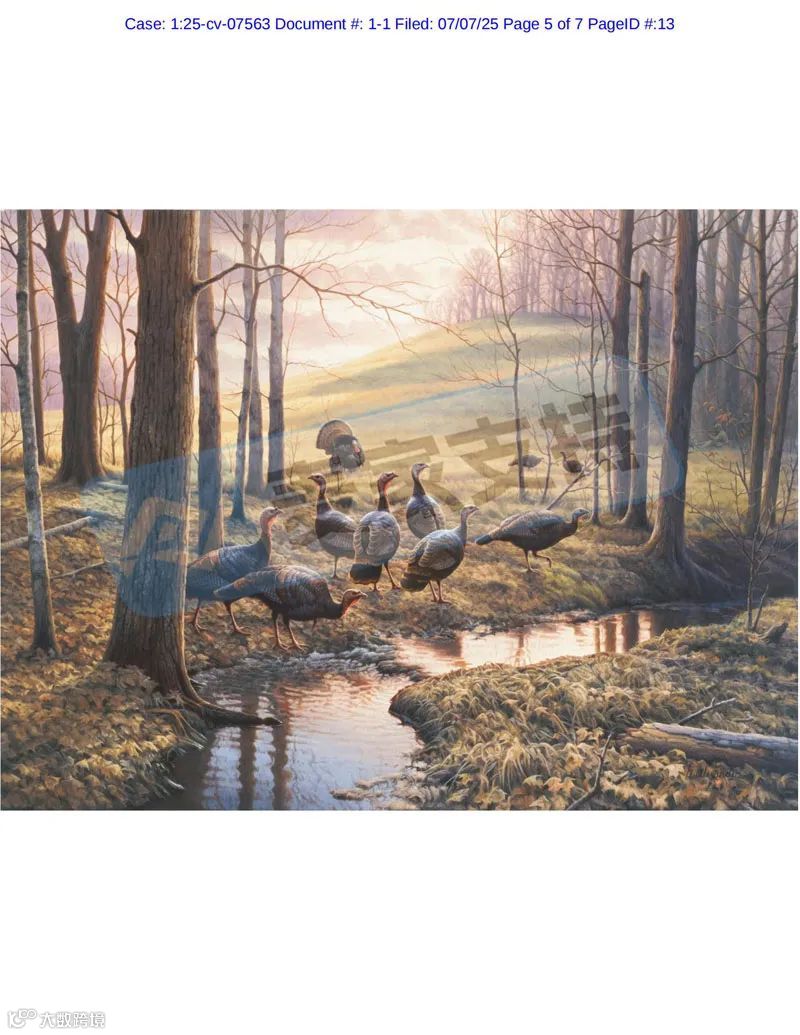 5-cv-07563,野生动物题材版权作品持续维权,2张全新版权作品上线"