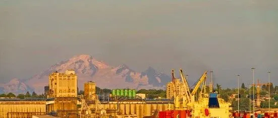 发现高效开发英国客户新渠道：TheWholesaler 平台实操指南