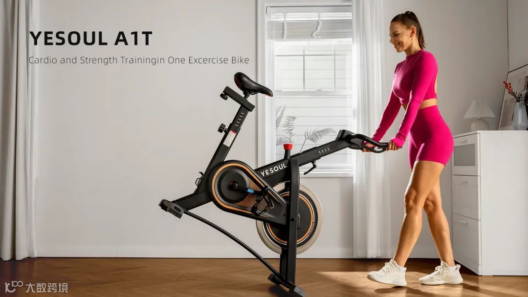 Amazon.com: YESOUL: Exercise Bike