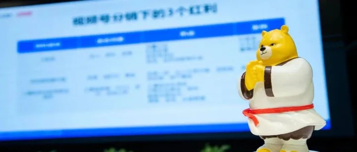 快团团、群接龙等工具开放平台与独立站小程序究竟有什么区别？