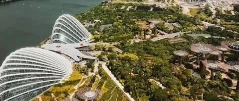 新加坡公司注册完成后如何开公司账户？2025年最新新加坡华侨银行开户介绍！