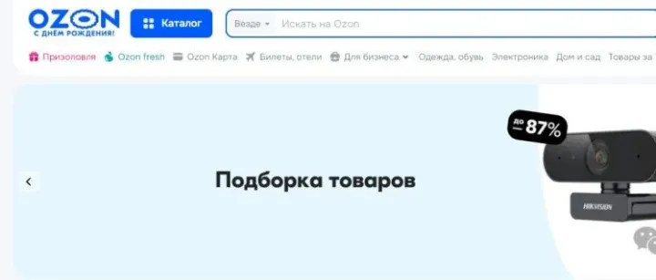 2025俄罗斯跨境OZON新手选品，30天冲类目前100