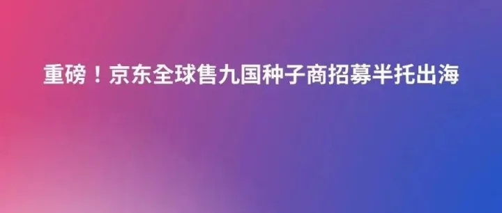 重磅！京东全球售九国种子商招募半托出海