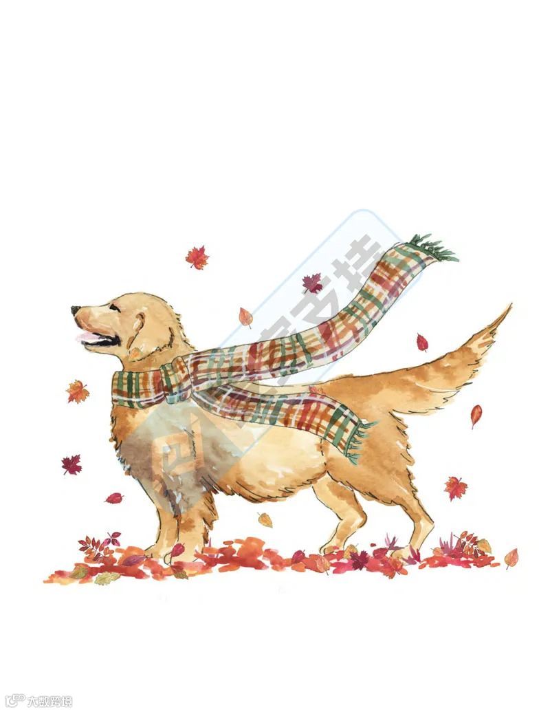 5-cv-00883，8个版权作品悄无声息维权，已成功TRO冻结200店！"