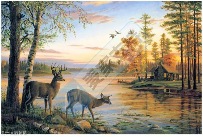 5-cv-07954,keith律所新案不断!野生动物艺术版权成TRO新靶标!"