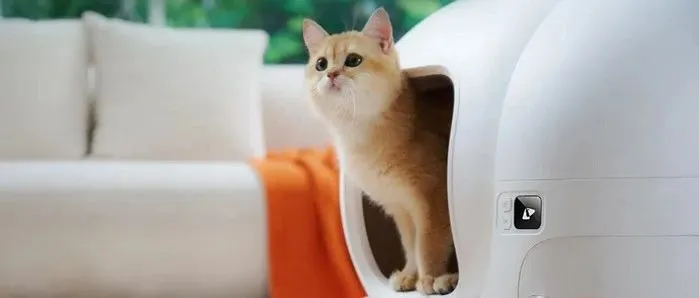 30多国布局！全国1700家连锁！这家中国宠物品牌是怎么做到的？