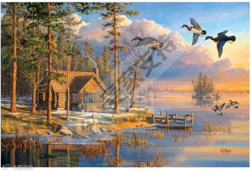 5-cv-07954,keith律所新案不断!野生动物艺术版权成TRO新靶标!"