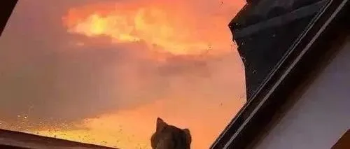 【报名】2025中东家电电子展览会