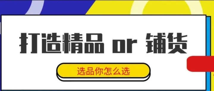 跨境独立站运营之铺货大法