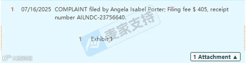 5-cv-08071，缠绕的蜻蜓钢笔画高危！已在美国法院立案维权！"