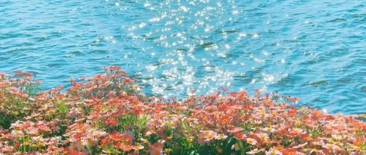 波兰外贸市场开发攻略：海外社媒+展会+产业全方位营销，抢占东欧蓝海市场！