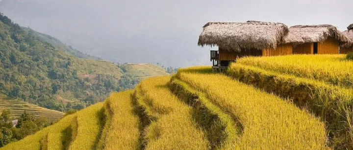 【报名】2025中国（越南）国际电商产业博览会