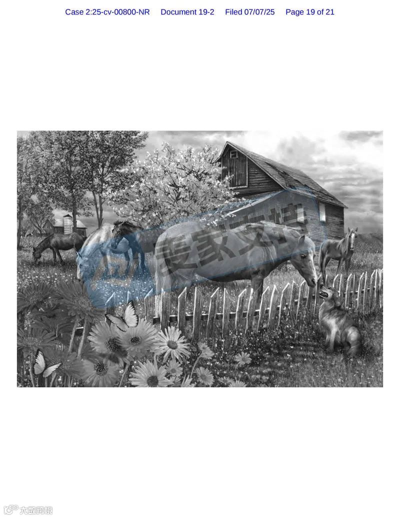 5-cv-00800,乡村题材版权申请维权!申请TRO冻结54店"