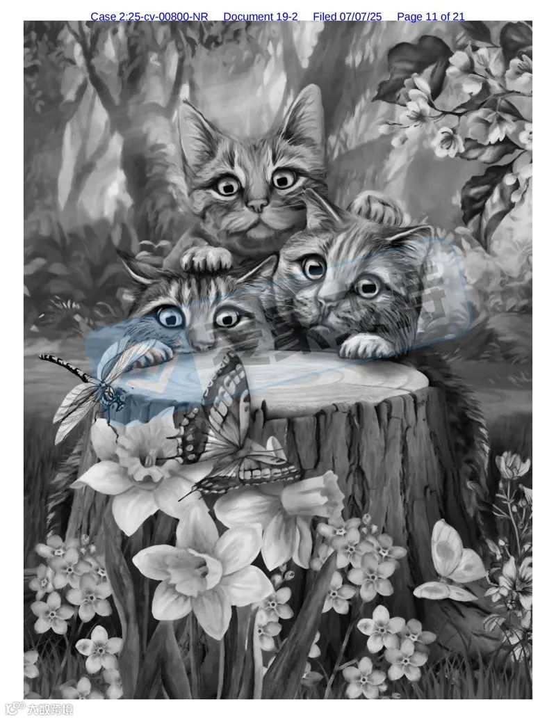 5-cv-00800,乡村题材版权申请维权!申请TRO冻结54店"