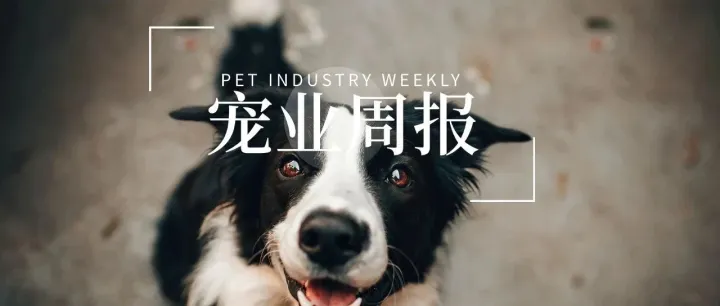 勃林格发布2025年上半年报；迈瑞医疗拟赴港上市；修正医药集团宠物板块进入国际资本市场；雀巢2025年上半年财报丨宠业周报