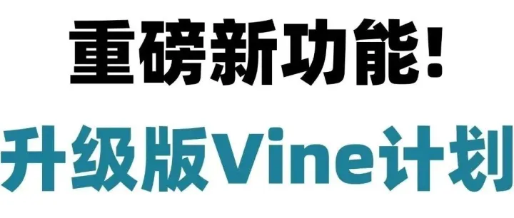 重磅！亚马逊Vine新功能震撼上线！