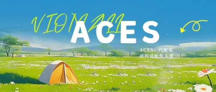 VIOMALL美国|ACES标准：汽配电商的适配性关键，VioFitment助您抢占先机。