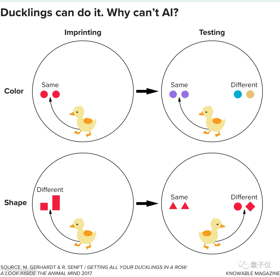 让神经网络给符号AI“打工”，MIT和IBM联合解决深度学习痛点，未来将用于自动驾驶- 大数跨境