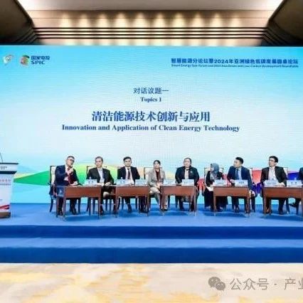 2024年亚洲绿色低碳发展圆桌论坛成功举办- 大数跨境