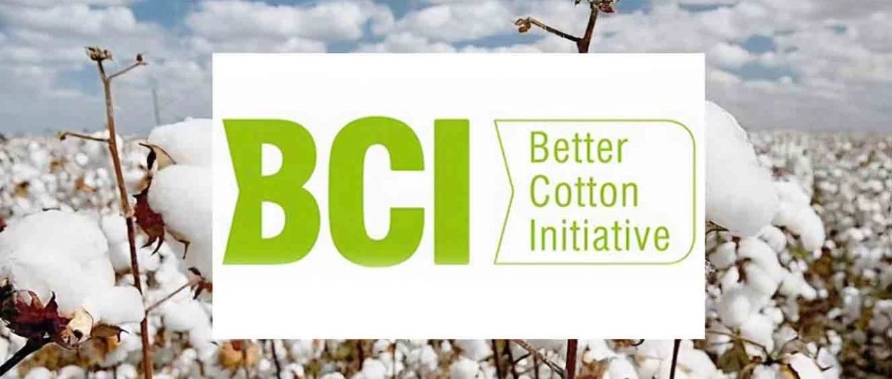 【一分钟带你了解BCI】BCI会员和非会员BCP供应商（BCP用户）的区别到底在哪里？- 大数跨境