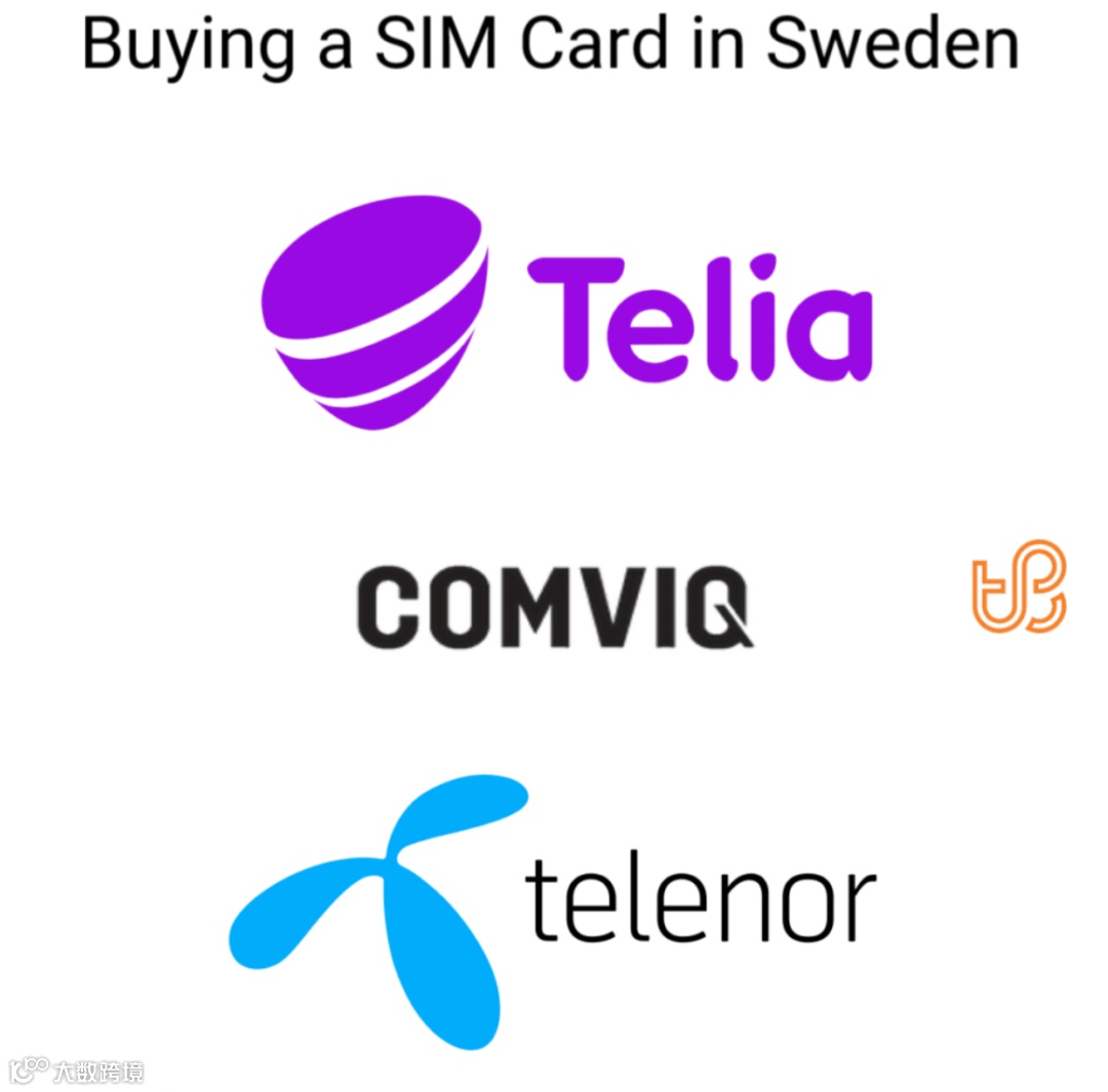 二月起，瑞典将有这些变化- 大数跨境