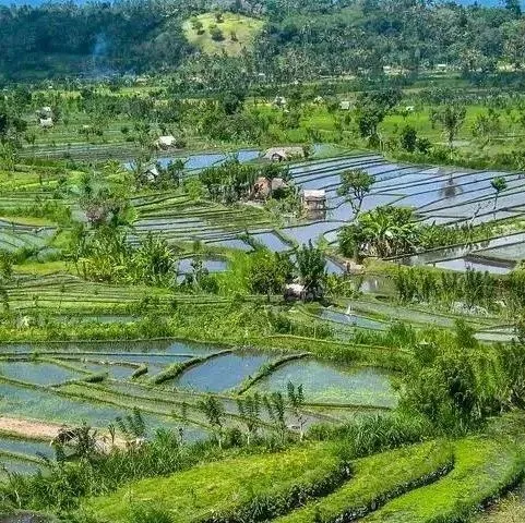 缅甸<em>佤</em><em>邦</em>农业大有可为！