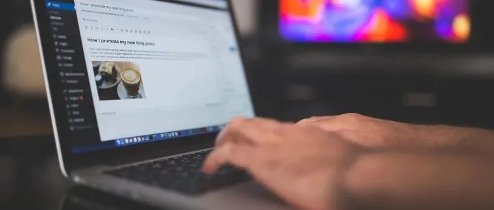 HOW DO WE MINIMIZE THE RISK OF <em>INTELLECTUAL</em> <em>PROPERTY</em>?