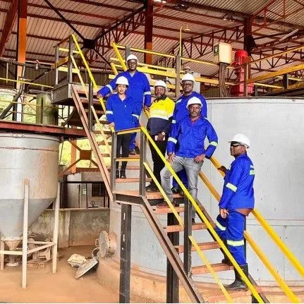 美国企业<em>Terra</em> Metals 和 Metalex 签署 1 亿美元协议，在赞比亚建立铜钴生产基地